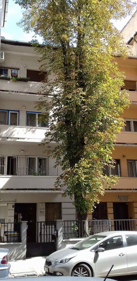 Studio Karma Budapest Kültér fotó